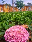 Xichang Anning Wenxin Yizhan Homestay