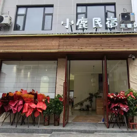 Xiaolu Homestay (Sansui)