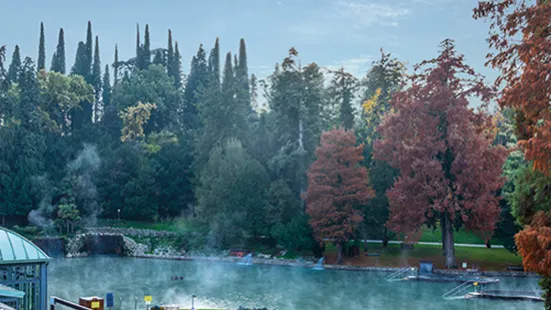 Villa dei Cedri Thermal Park & Natural Spa