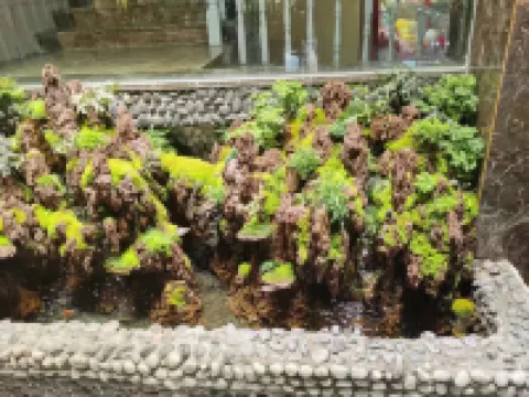 푸얼 바이위안 부티크 호텔（쓰마오 공항）