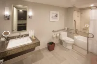 DoubleTree Resort by Hilton Hollywood Beach - balcony