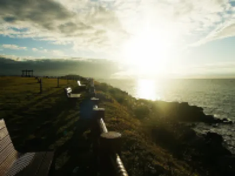 Login Hotel Jeju Hotels near Jeju Intl. Airport