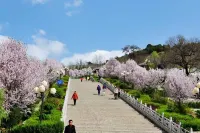Lingtai Hotel Hotels in Lingtai County
