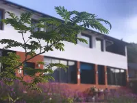 Hidden Place Luxe Casa Hotels in Yanyuan