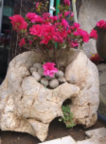 Zhijin Cave Zhiyuan Inn