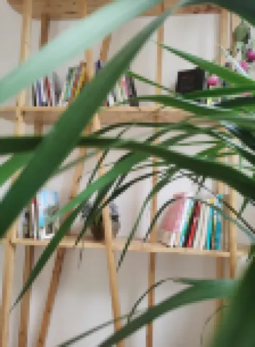 Jiangyou Shanyuluo Homestay