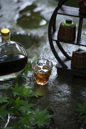 Jiashan Yunlan Bay Honglu  Yuanlin Hotel Отели рядом со станцией Jiashan South Railway Station