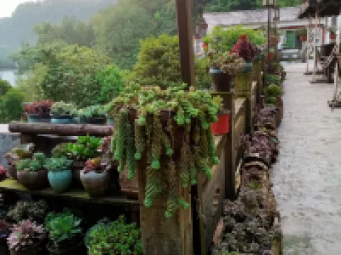 Emeishan Yipin Hotel (Qingyin Pavilion Scenic Area) Hotels near Qingyin Pavilion