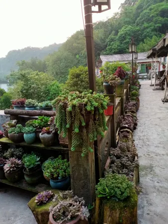 Emeishan Yipin Hotel Отели рядом с достопримечательностью «Wannian Temple»