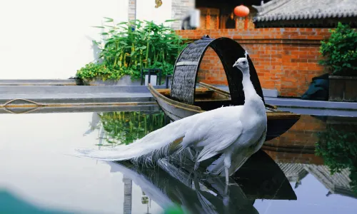 Luoyang YunHuaLi Intangible Cultural Heritage Art Homestay