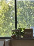 Yi Laijialiwan Homestay - 2성급