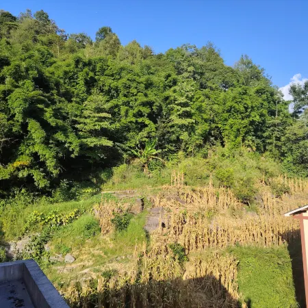 Suiyang kunyu yashe