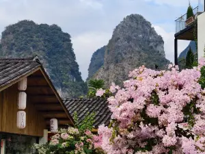 觀嵐丨白馬度假