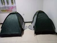台州三年二班旅馆 - 温馨帐篷房（公共卫浴）