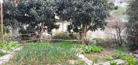 Tea Reasonable Homestay Отели рядом с достопримечательностью «Plum Garden, Plum Forest, Pingtong Town»