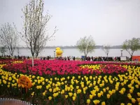 Tang Tong Hotel (Xinye Branch) Hotels in Xinye