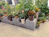 Dorongi Guest House