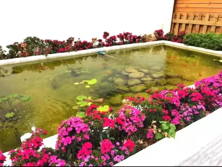 Xi 'an Jumuqing Hotel Отели рядом с достопримечательностью «Xi'anjiaotong University Museum»