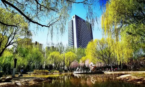 King Lion International Hotel