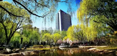 King Lion International Hotel Hotels in 
