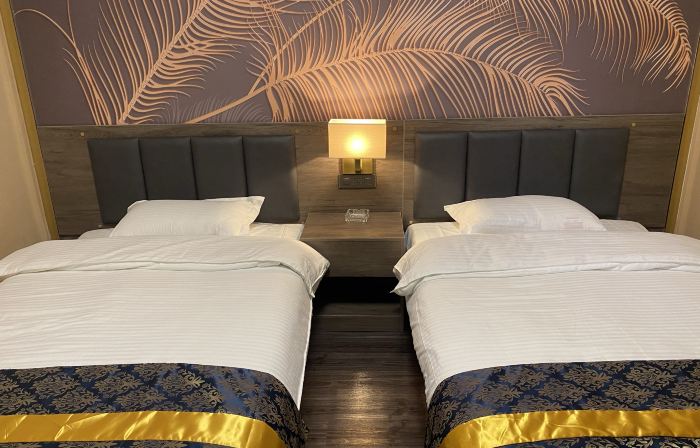 Pianguan Longyuan Hotel
