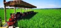 Guangdong Korean Homestay Hôtels à : Helong