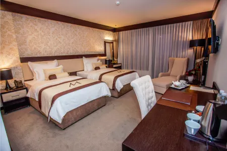 Malak Regency Hotel Отели рядом с достопримечательностью «Jahorina viewpoint»