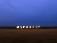 My forest-east sea Beach Resort Homestay Hotels in Daishan
