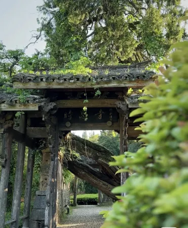 Jingning Daxu Township Yunzhan Homestay Отели рядом с достопримечательностью «Yunzhongdaji»