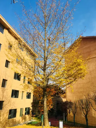 Yesanguan Forest Hotel Отели рядом с достопримечательностью «Yesanguan Forest Flower Sea»