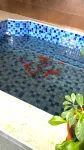 Fengcheng Jiaozi Homestay
