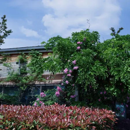 The Nook Hotel Hangzhou - A design hotel, 20 mins to West Lake and Lingyin Temple