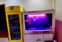 Tongjiang Yihao Express Hotel