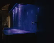 Hotel Pod Różą - romantique