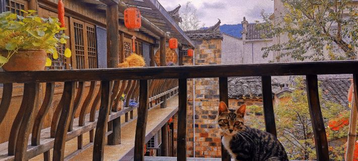 She De Yuan Boutique Homestay Hotéis em Yixian