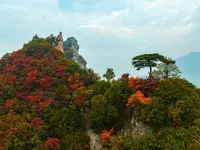 Daily Hotel Hotels near Cuihua Mountain