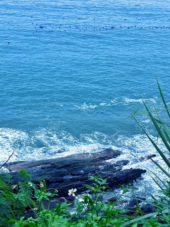 Dongshan Nanfang Youmeng Scenic Apartment (Jinluan Bay) Отели рядом с достопримечательностью «Jinzijing Square»