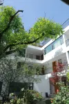 Liuba Front and Back Courtyard Themed Homestay (Old Street)
