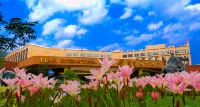 Island International Hotel Hotels in Liupanshui