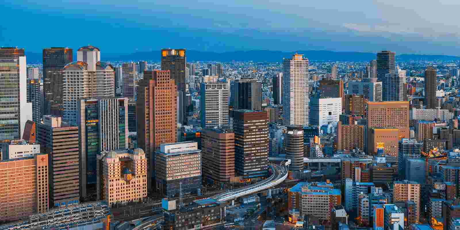 <h1>大阪のとんぼりリバークルーズ周辺のホテル・旅館</h1>