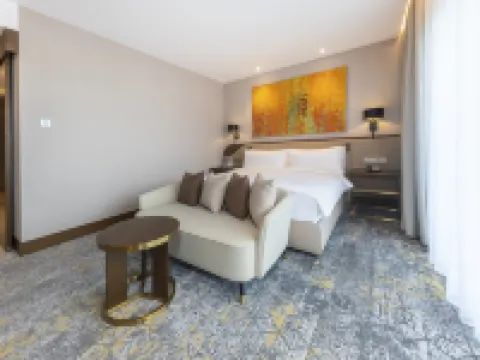 阿拉木圖阿拉套瑞士療養度假酒店