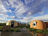 Tostee Cat Nest Inn