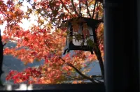 Toushinan Komeya - Romantik