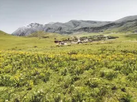 Yanyang Mountain Homestay
