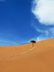 Xingxing Saye Desert Stargazing Homestay
