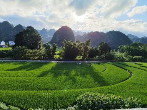 Wanfenglin Qiluan Mountain House Homestay