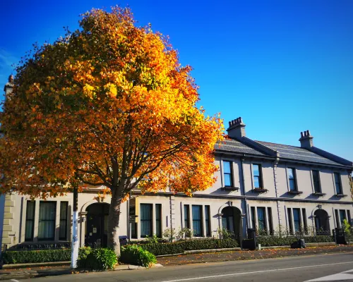 Highland House Boutique Hotel Hotels near Baldwin Street
