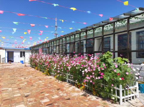 Qing Hai Hu Ge Sang Hua Nong Jia Min Su Gonghe Updated 22 Room Price Reviews Deals Trip Com