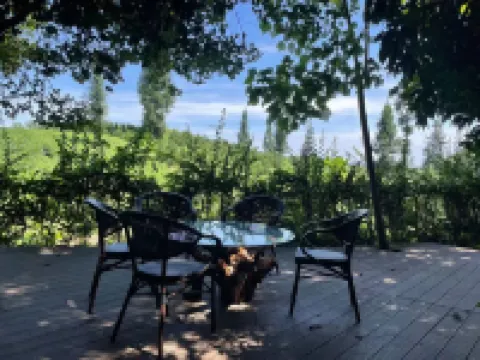 Pu'an Tianju Bountique Guesthouse