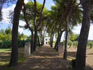 Masseria Filippo de Raho - Agri Bio Relais